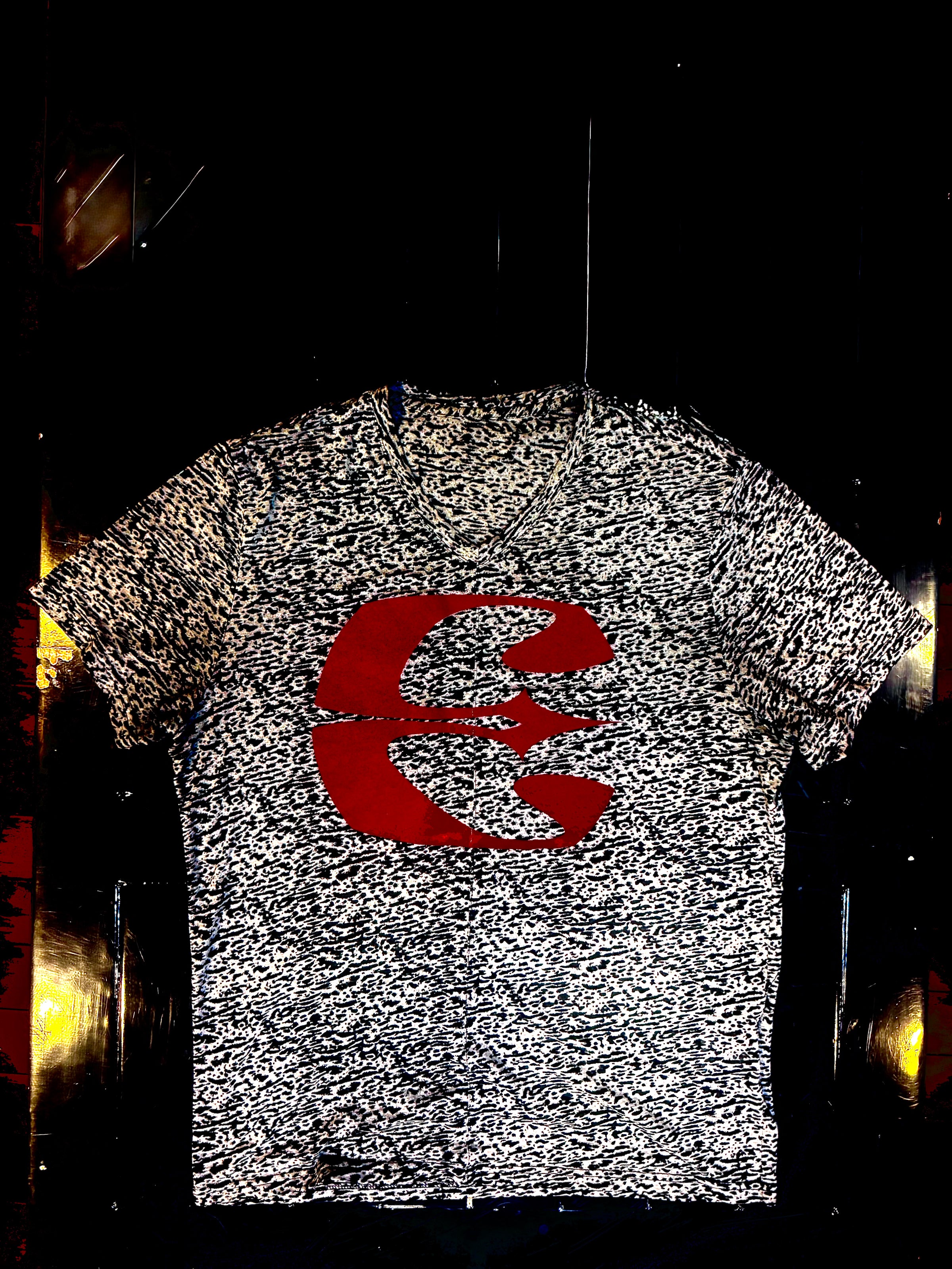 Bourgeoisi-E Ensemble | Woven V-Neck | Short Sleeve Sheer Static | Red Flock-“E”