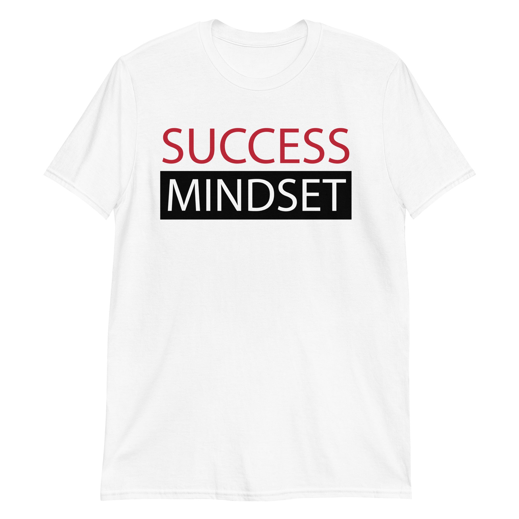 Success Mindset: