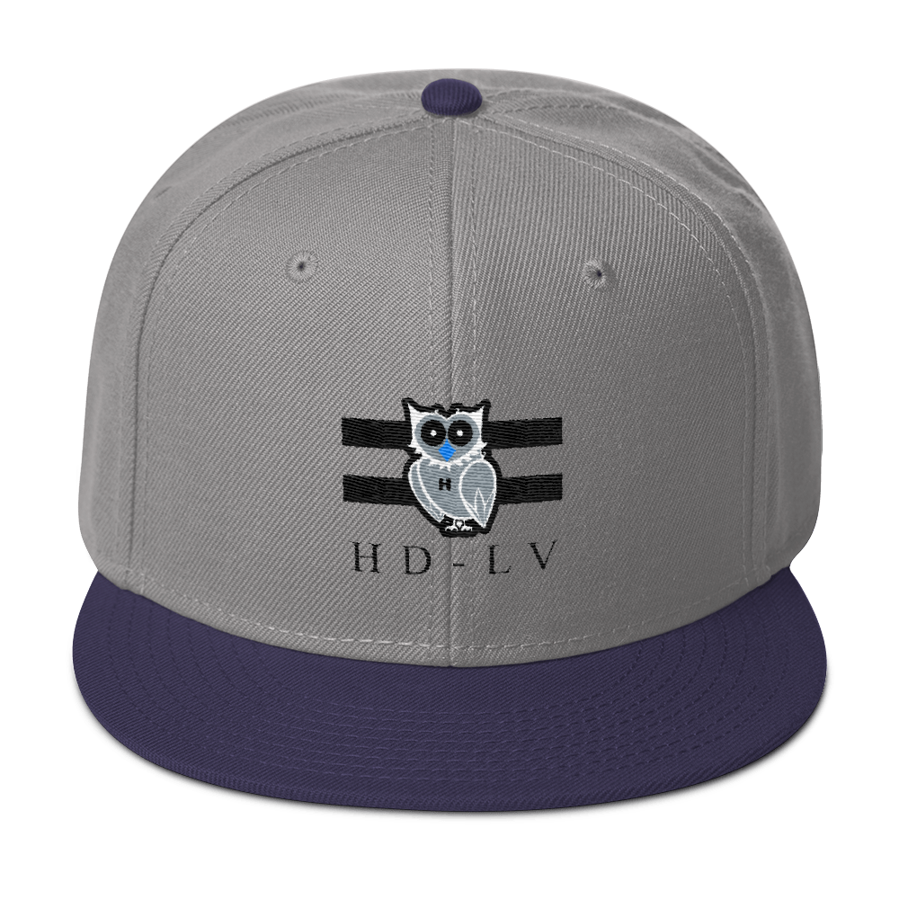 HD-LV Inverted Classic Snapback - Grey & Navy