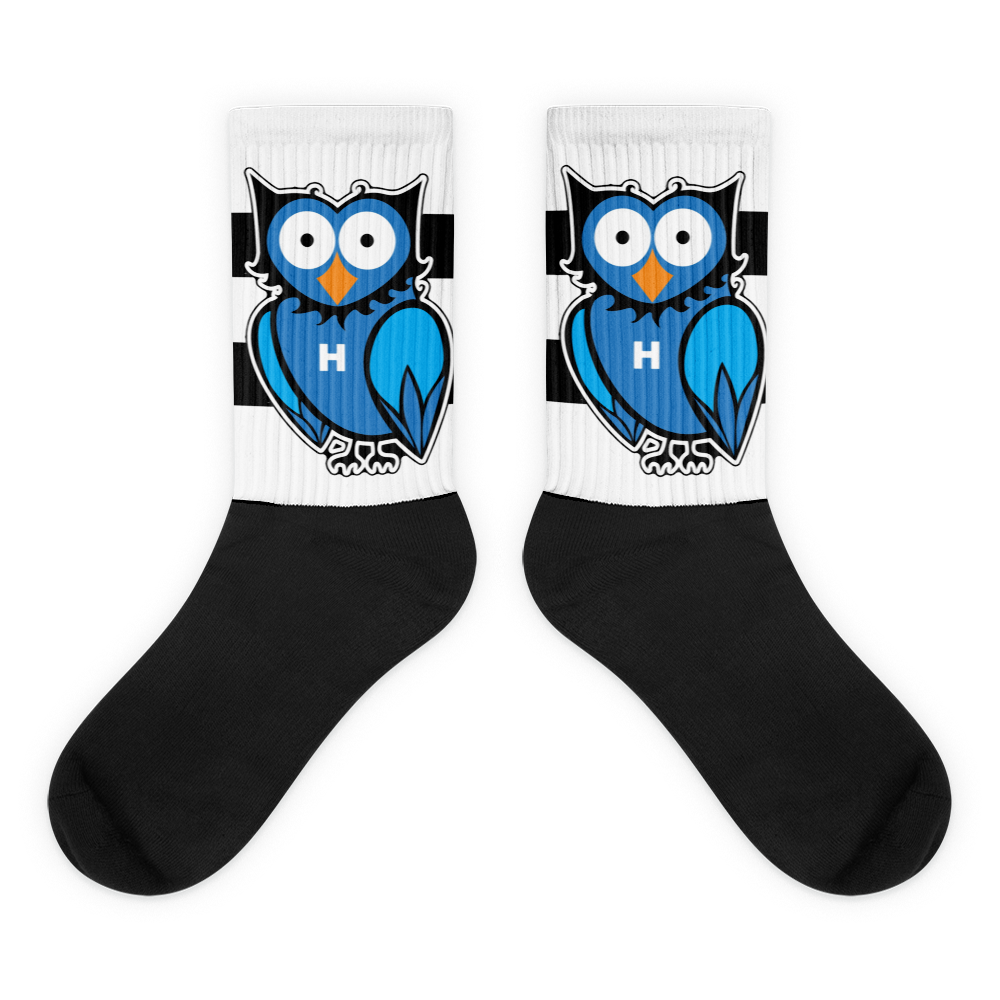HDLV-USA Logo Socks
