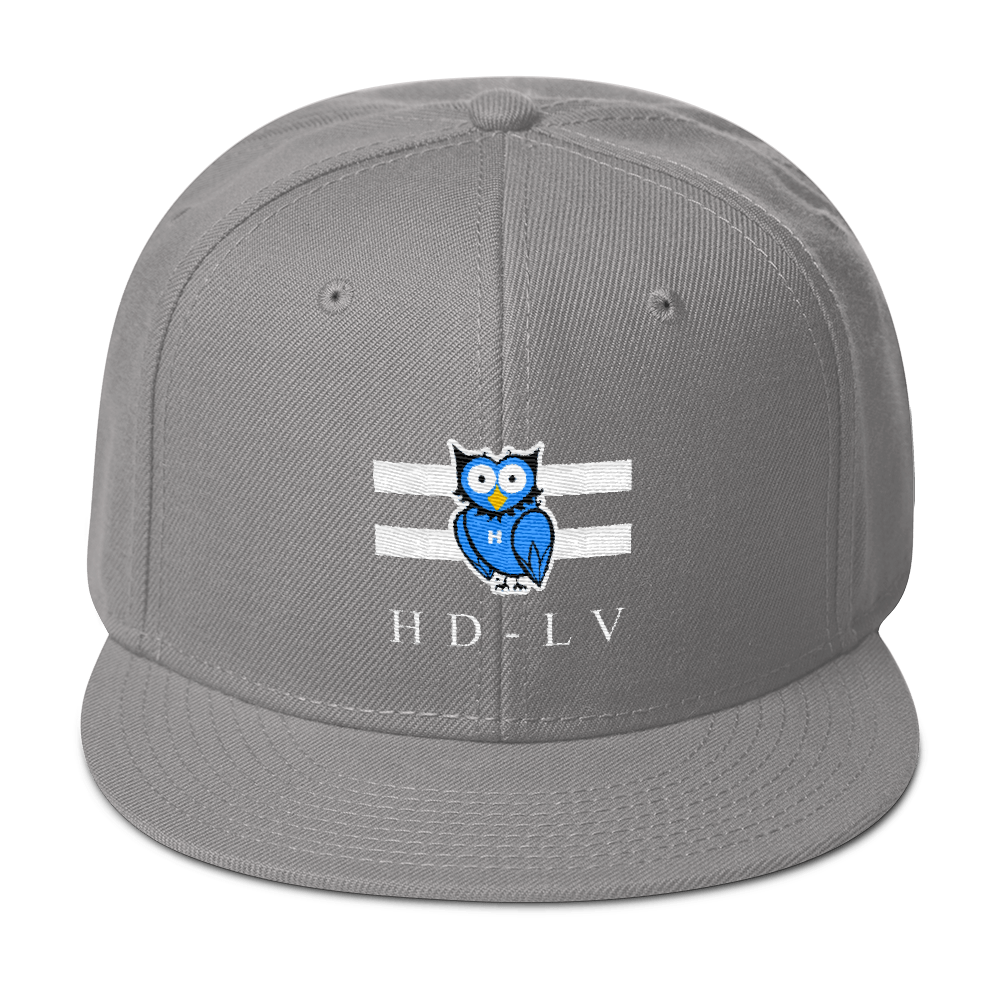 HD-LV Classic Snapback - Grey