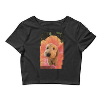 Shop and Buy Dog T-shirts