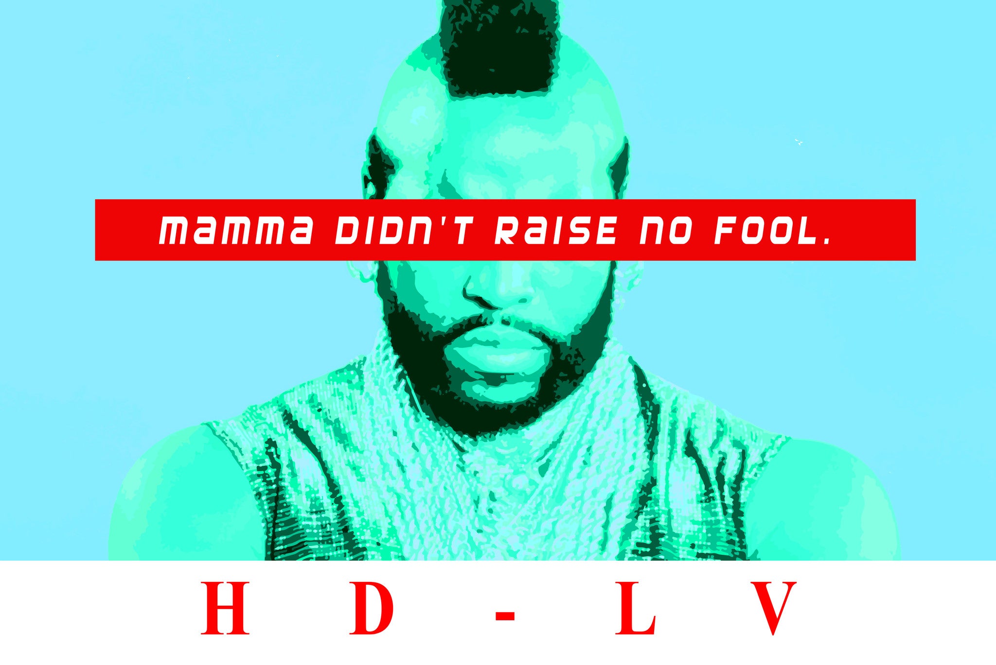 Mamma Didn't Raise No Fool | Pop Culture Shirts for Men