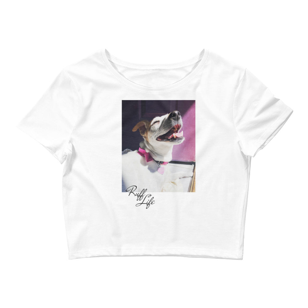 Shop and Buy Dog T-shirts