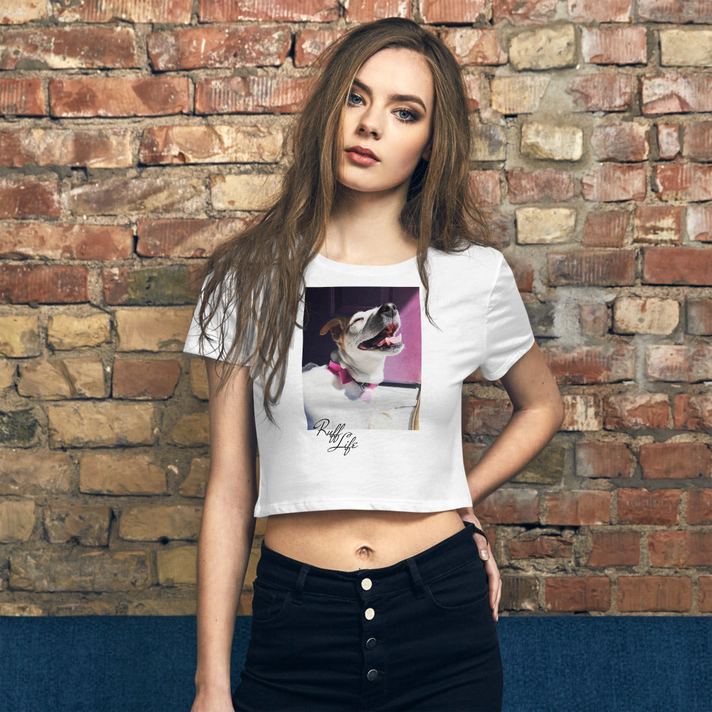 Shop and Buy Dog T-shirts