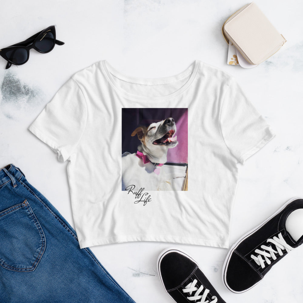 Shop and Buy Dog T-shirts